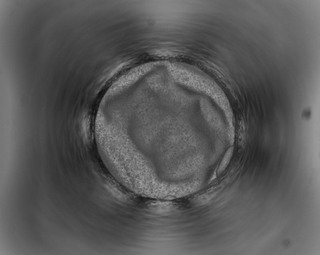 X0000097900428200804041442