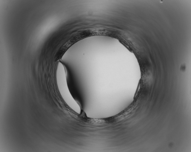 X0000097900429200804041442