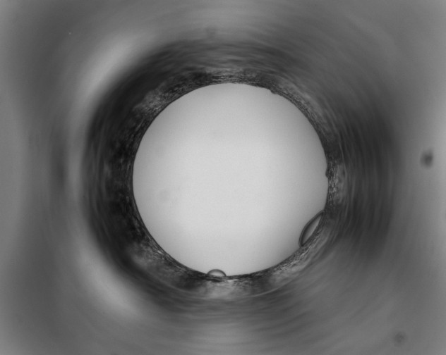 X0000097900430200804041442