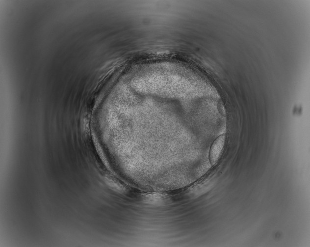 X0000097900432200804041442