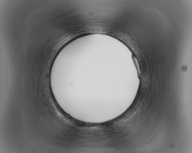 X0000097900433200804041441