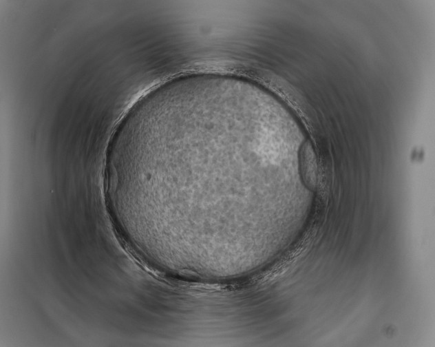 X0000097900434200804041441