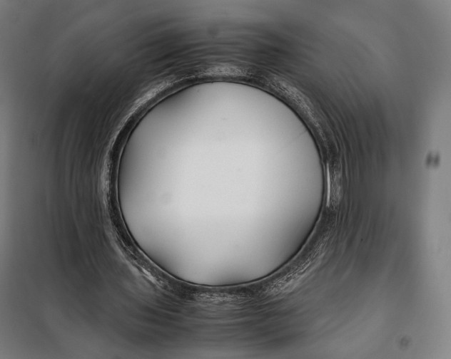 X0000097900435200804041441