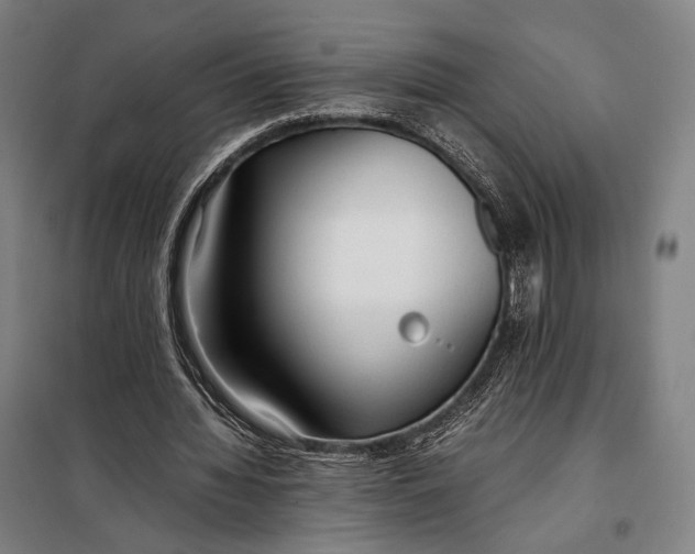 X0000097900436200804041441