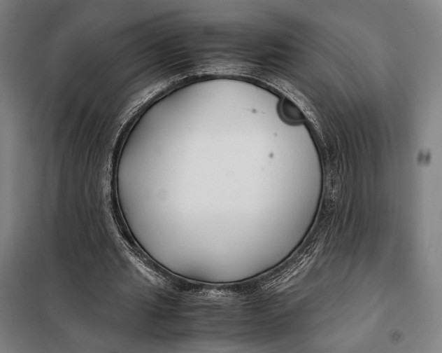 X0000097900437200804041441