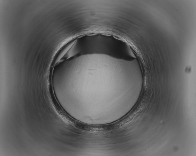 X0000097900438200804041441