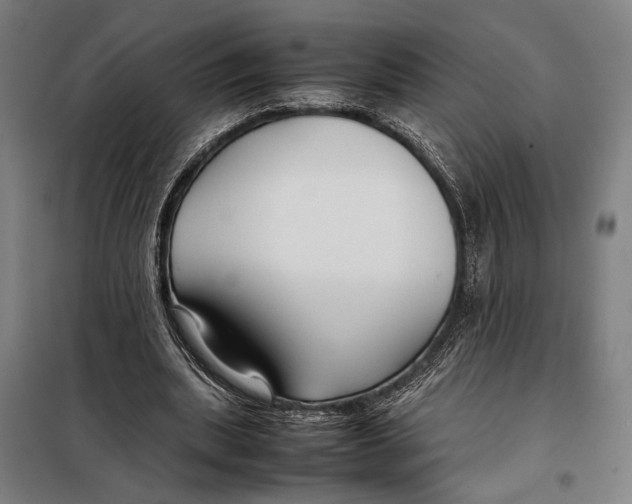 X0000097900439200804041441