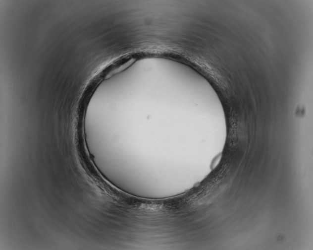 X0000097900440200804041441