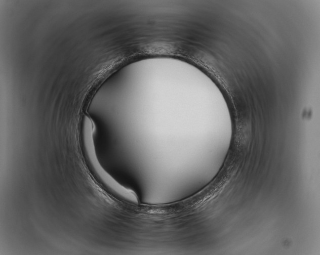 X0000097900441200804041441