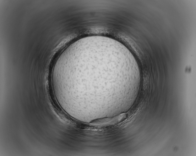 X0000097900443200804041441