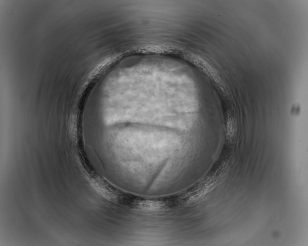 X0000097900444200804041441