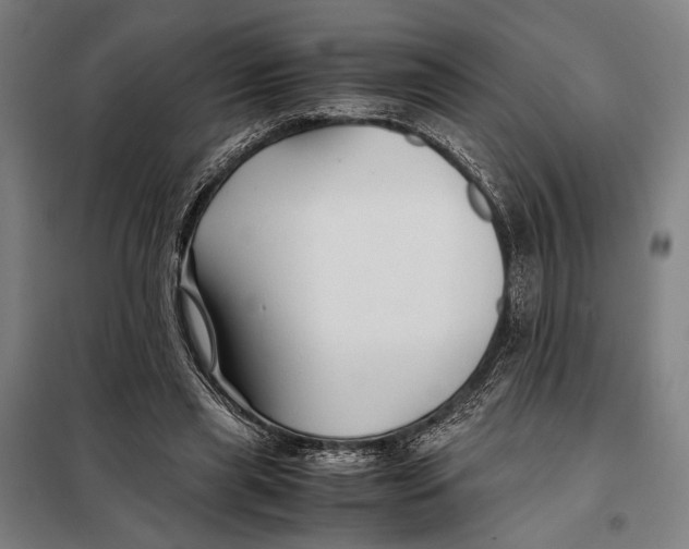 X0000097900445200804041441