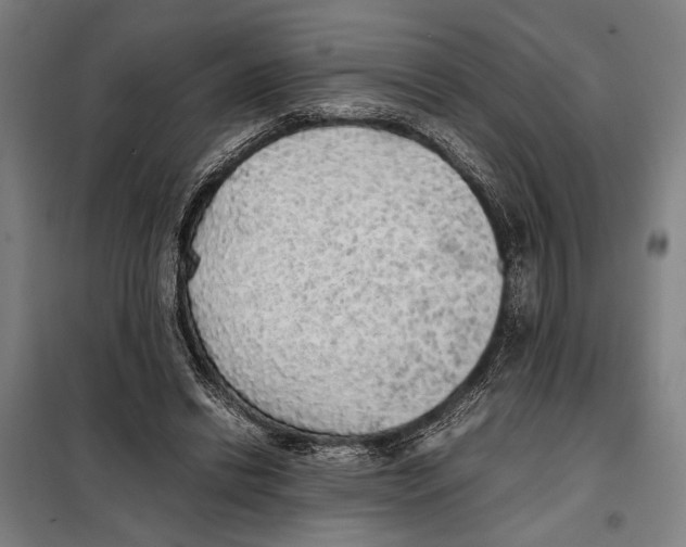 X0000097900446200804041441