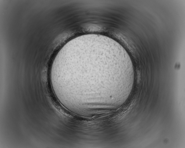 X0000097900447200804041441