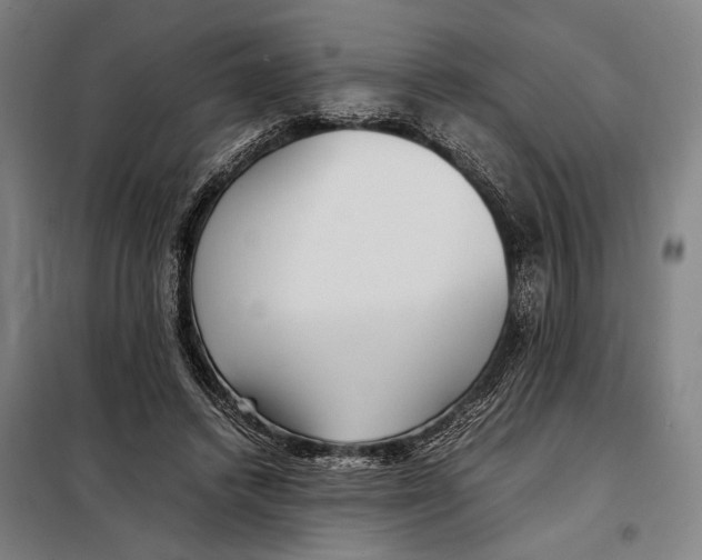 X0000097900448200804041441