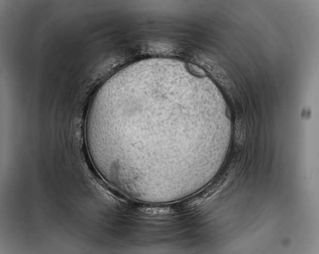 X0000097900449200804041441