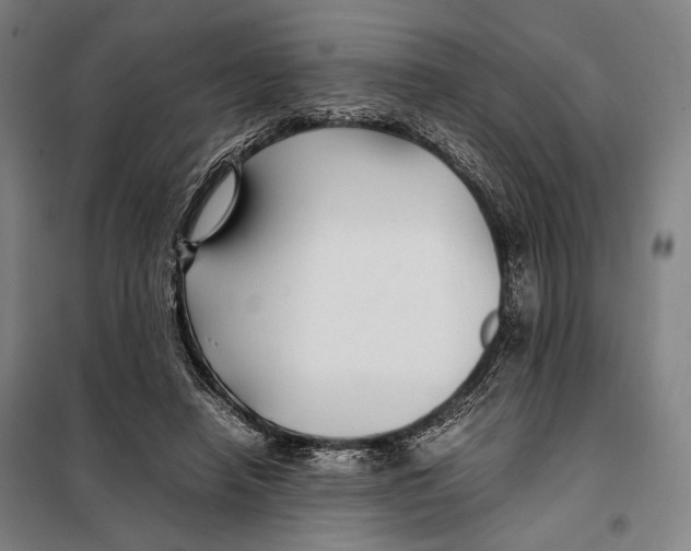 X0000097900450200804041441