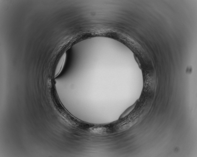 X0000097900452200804041441