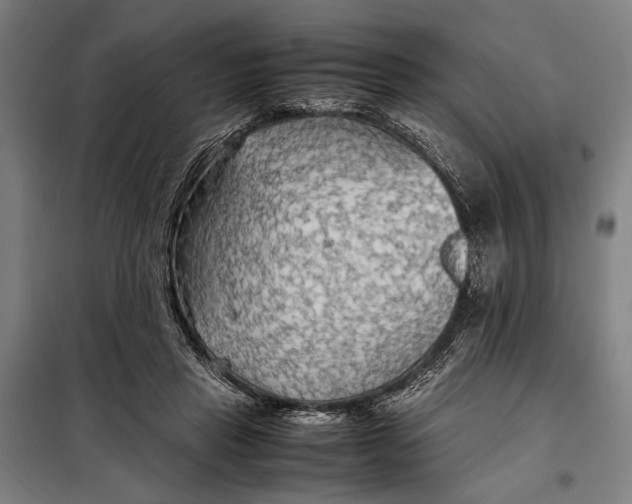 X0000097900453200804041441