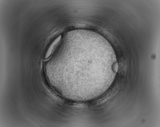 X0000097900454200804041441