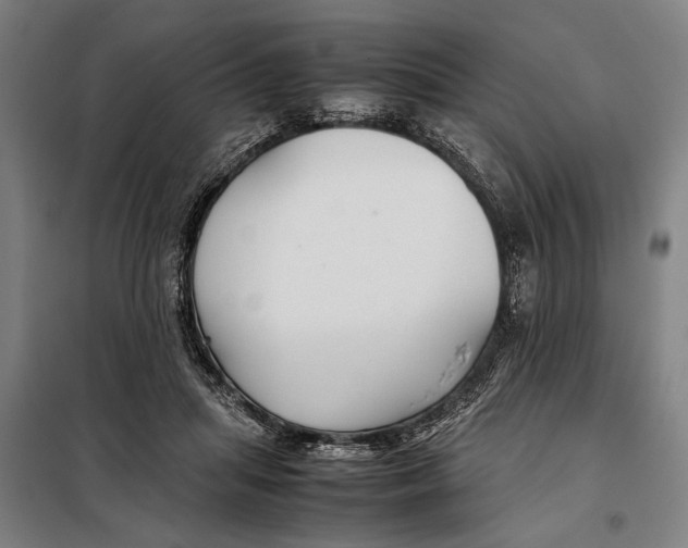 X0000097900455200804041441