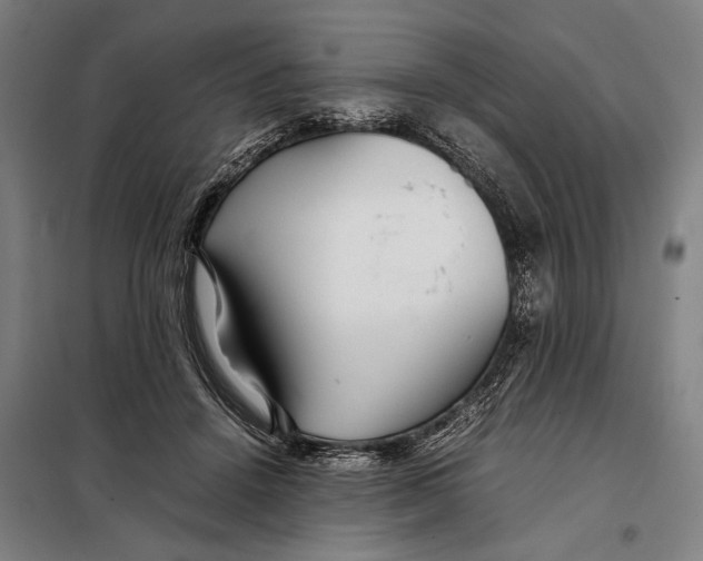 X0000097900456200804041441