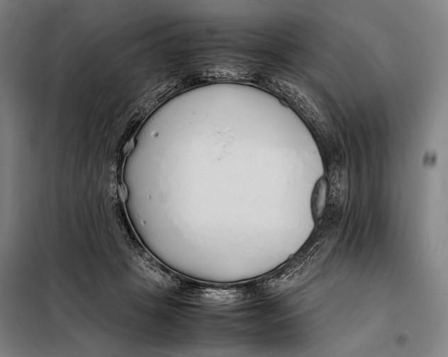 X0000097900457200804041441