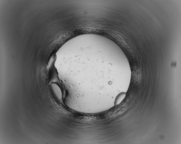 X0000097900458200804041441