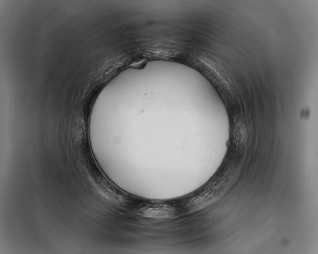 X0000097900459200804041441