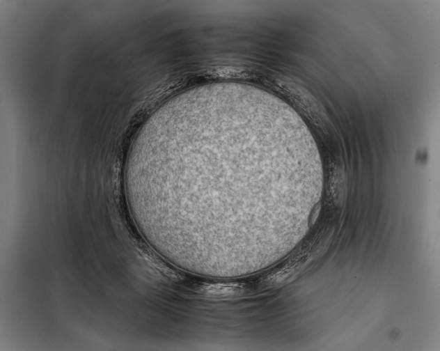 X0000097900461200804041441