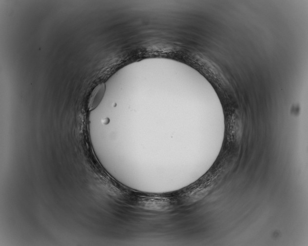 X0000097900463200804041441