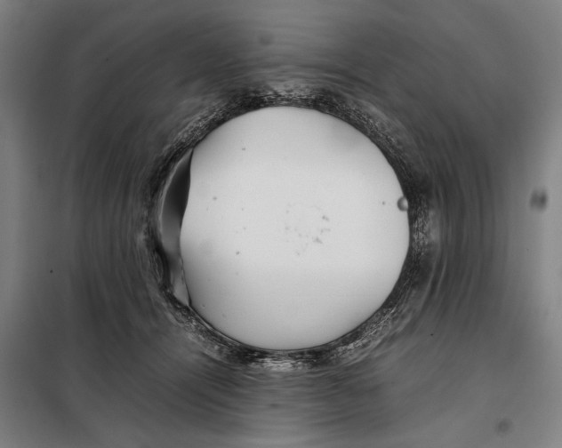 X0000097900464200804041441