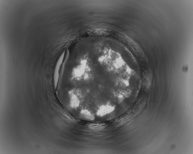 X0000097900465200804041441