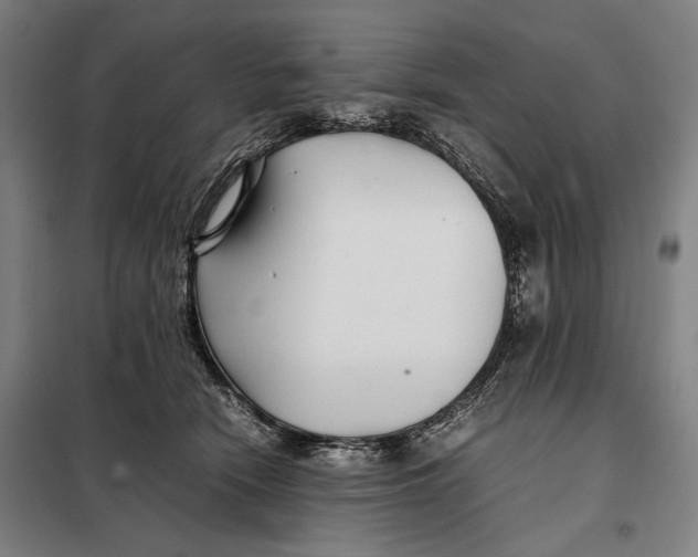 X0000097900466200804041441