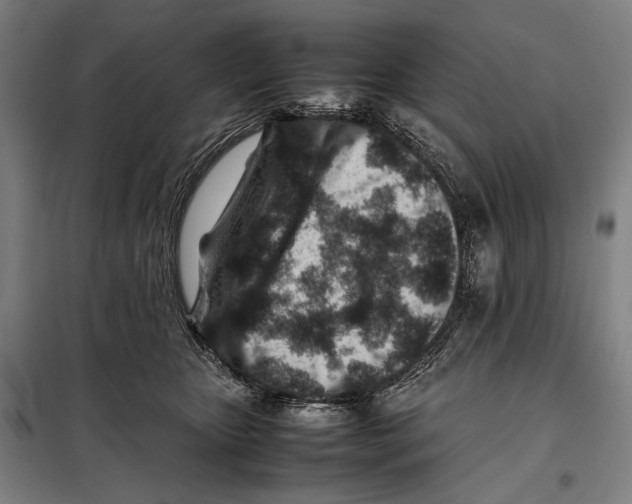 X0000097900467200804041441