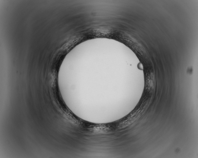 X0000097900468200804041441