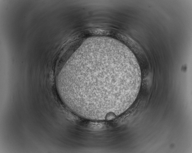 X0000097900469200804041441