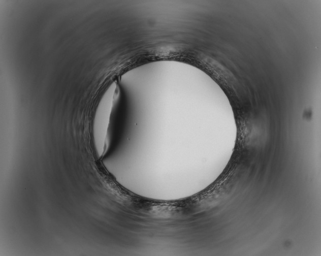 X0000097900470200804041441