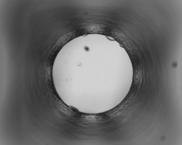 X0000097900473200804041441