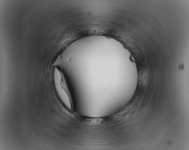 X0000097900474200804041441