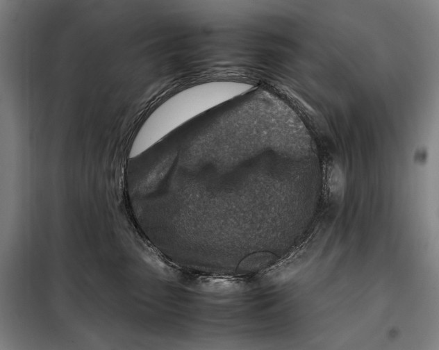 X0000097900475200804041441