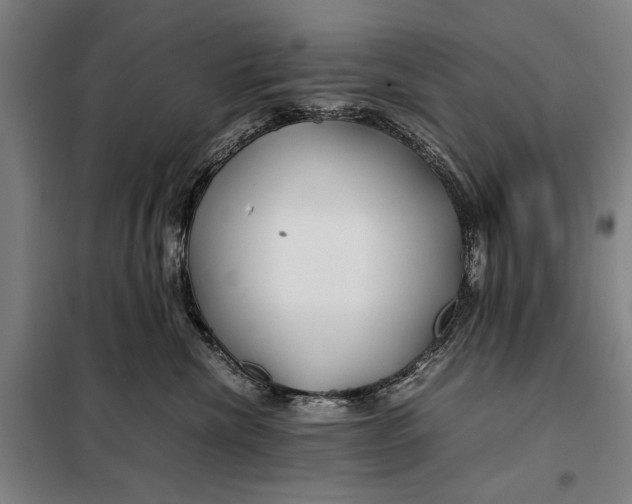 X0000097900476200804041441