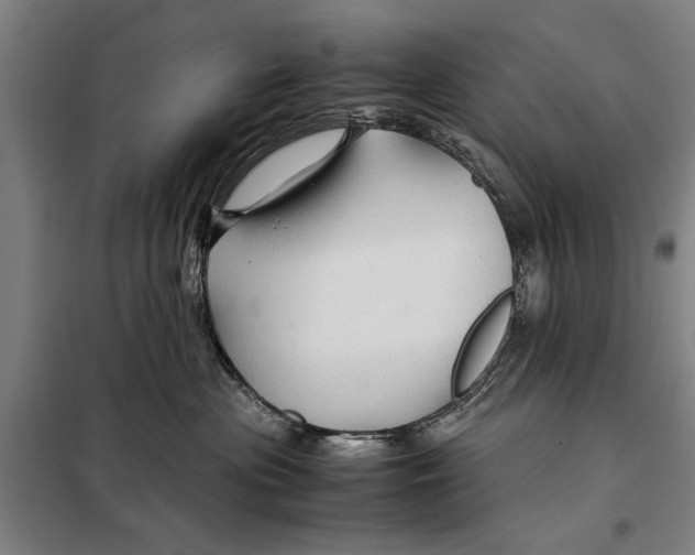 X0000097900477200804041441