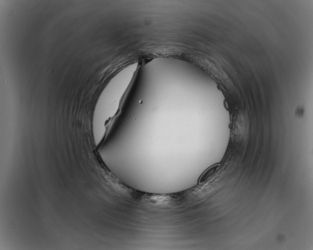 X0000097900478200804041441