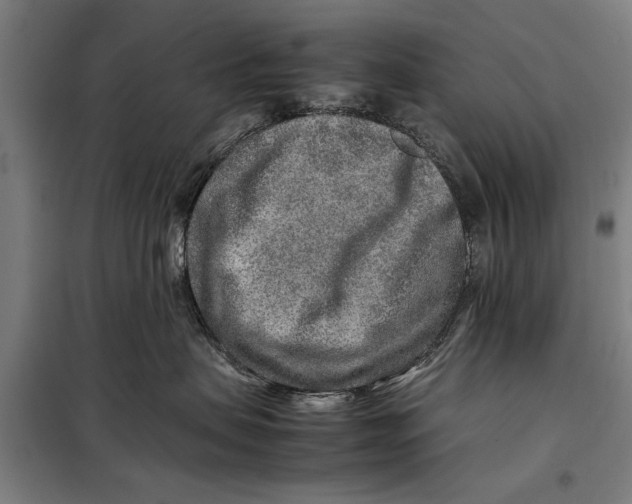 X0000097900479200804041442