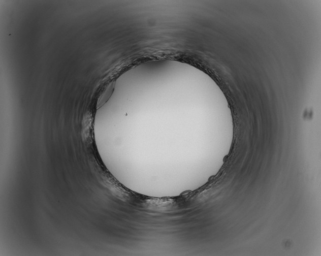 X0000097900480200804041442