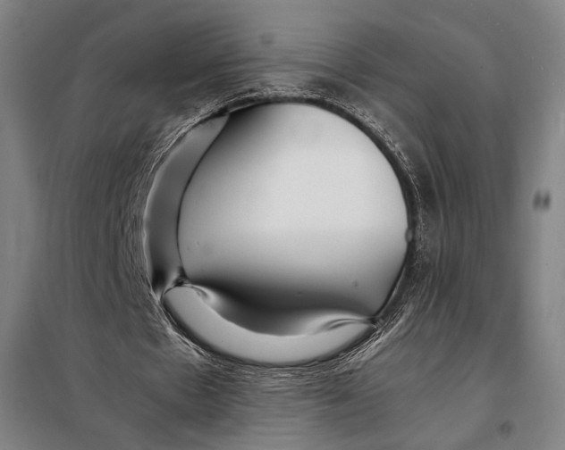 X0000097900481200804041441