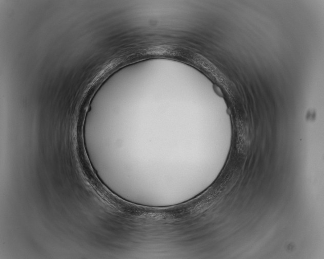 X0000097900482200804041441