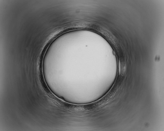 X0000097900483200804041441