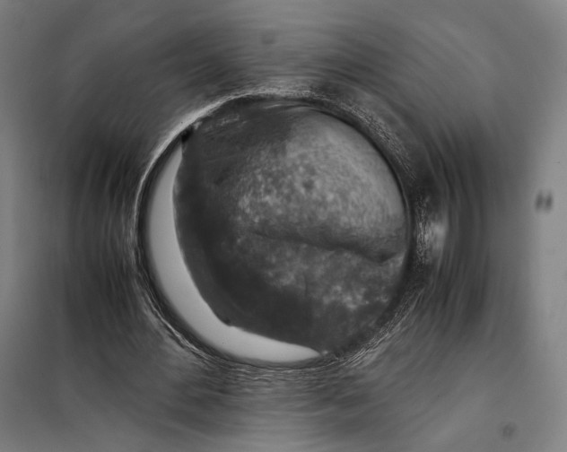 X0000097900484200804041441